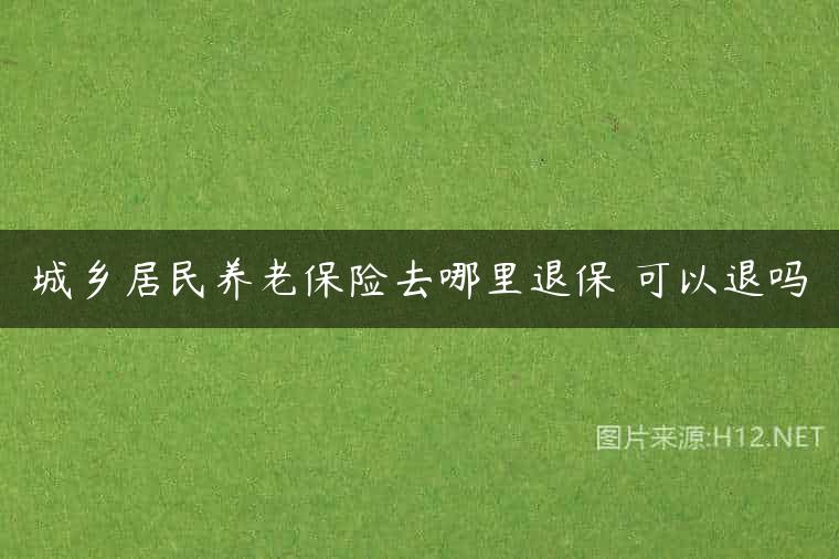 城乡居民养老保险去哪里退保 可以退吗