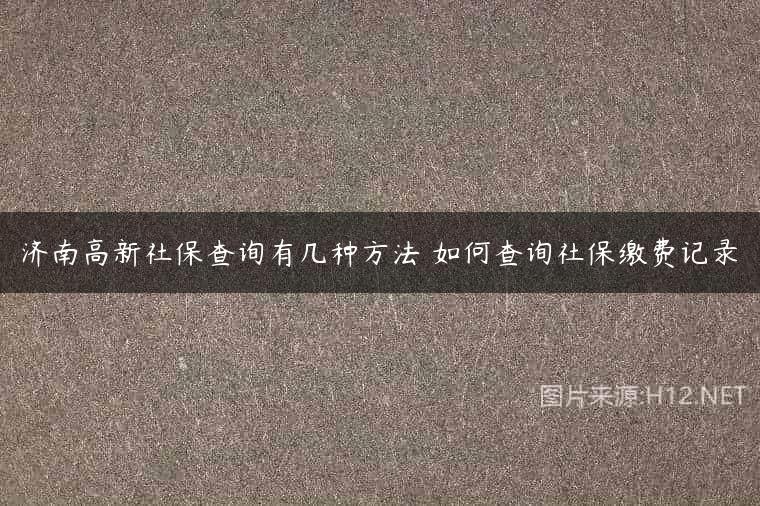 济南高新社保查询有几种方法 如何查询社保缴费记录