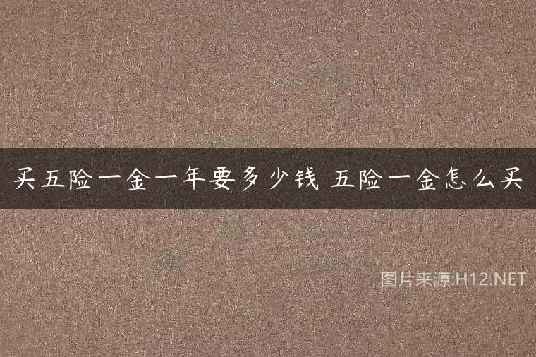 买五险一金一年要多少钱 五险一金怎么买