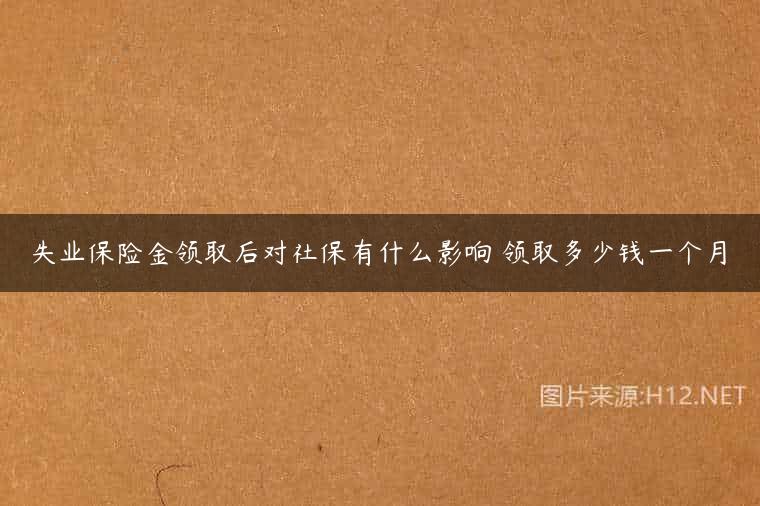 失业保险金领取后对社保有什么影响 领取多少钱一个月