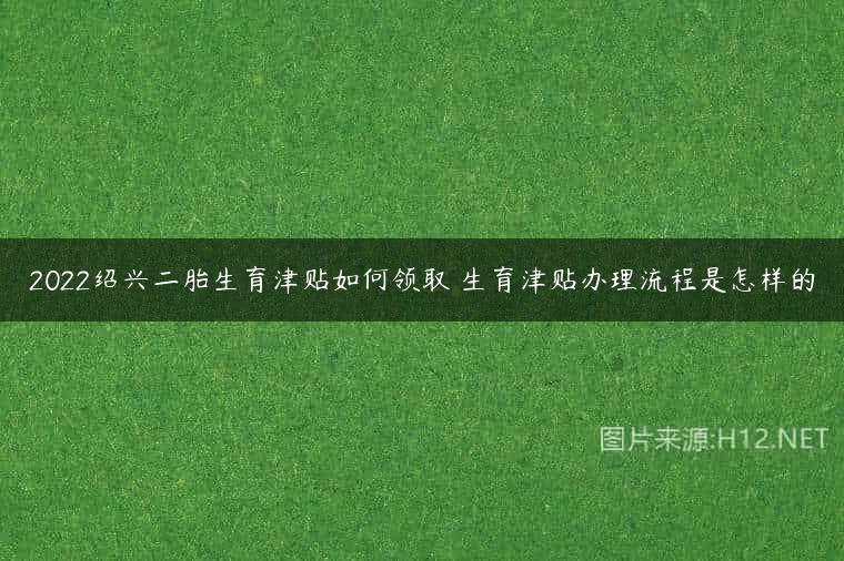 2022绍兴二胎生育津贴如何领取 生育津贴办理流程是怎样的