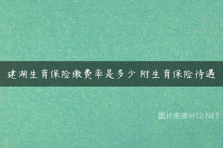 建湖生育保险缴费率是多少 附生育保险待遇