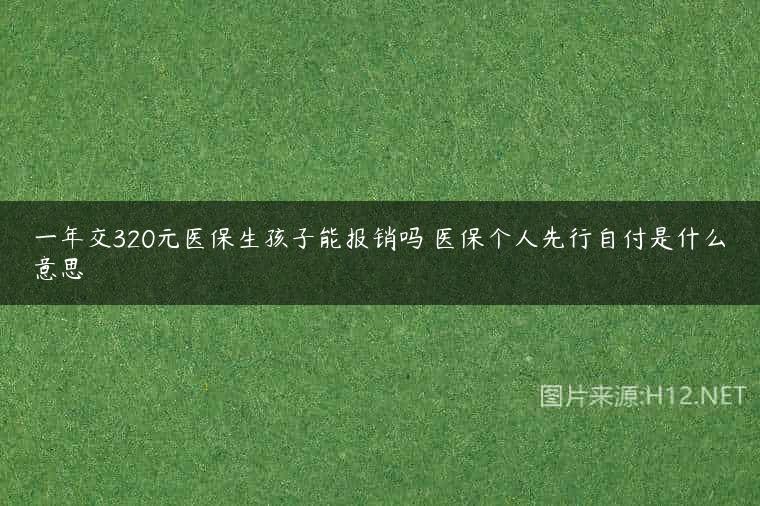 一年交320元医保生孩子能报销吗 医保个人先行自付是什么意思