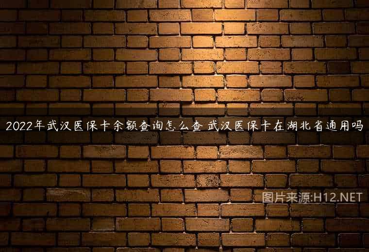 2022年武汉医保卡余额查询怎么查 武汉医保卡在湖北省通用吗