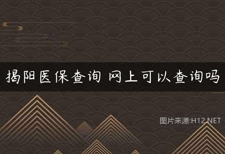 揭阳医保查询 网上可以查询吗