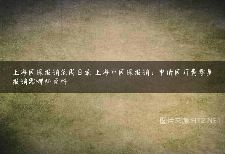上海医保报销范围目录 上海市医保报销：申请医疗费零星报销需哪些资料