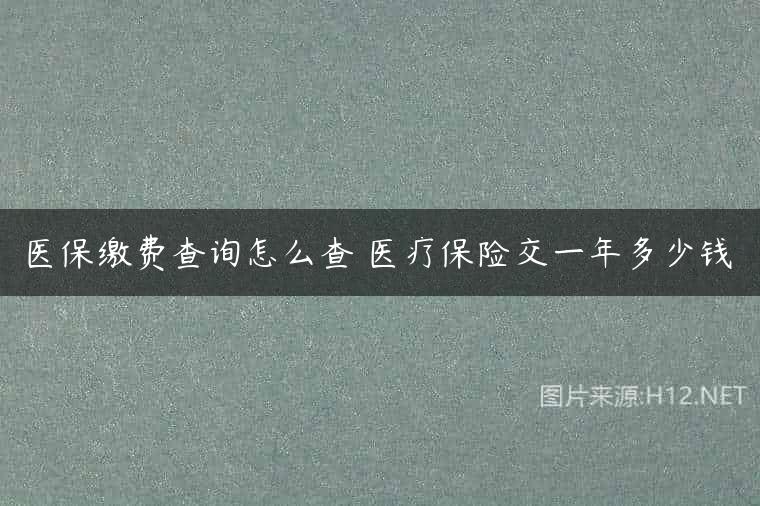 医保缴费查询怎么查 医疗保险交一年多少钱