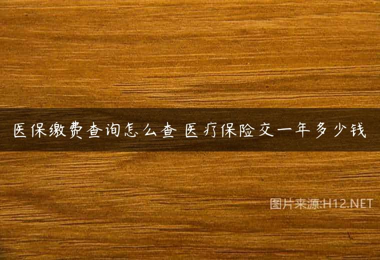 医保缴费查询怎么查 医疗保险交一年多少钱