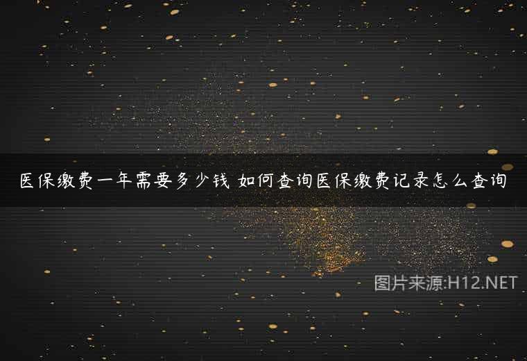 医保缴费一年需要多少钱 如何查询医保缴费记录怎么查询