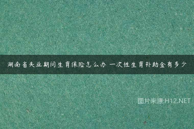 湖南省失业期间生育保险怎么办 一次性生育补助金有多少