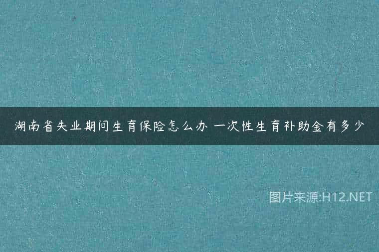 湖南省失业期间生育保险怎么办 一次性生育补助金有多少
