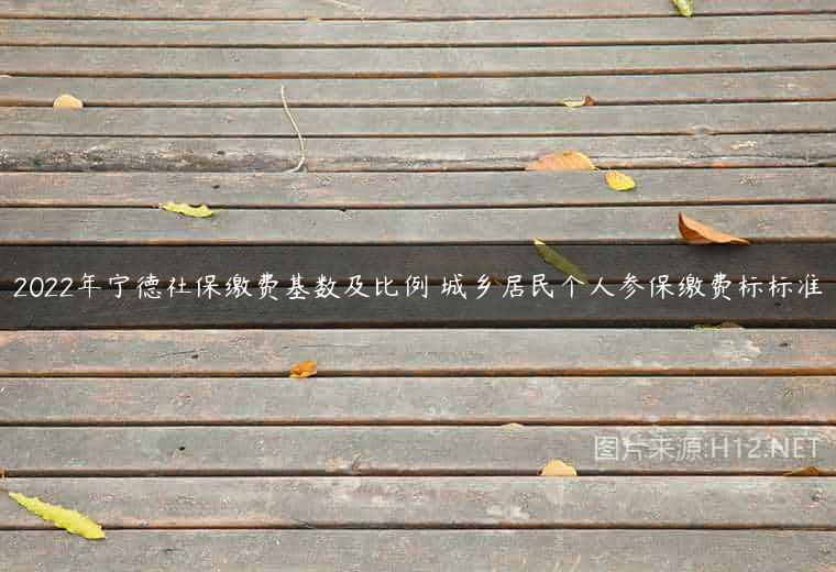 2022年宁德社保缴费基数及比例 城乡居民个人参保缴费标标准