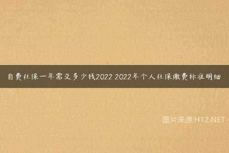 自费社保一年需交多少钱2022 2022年个人社保缴费标准明细