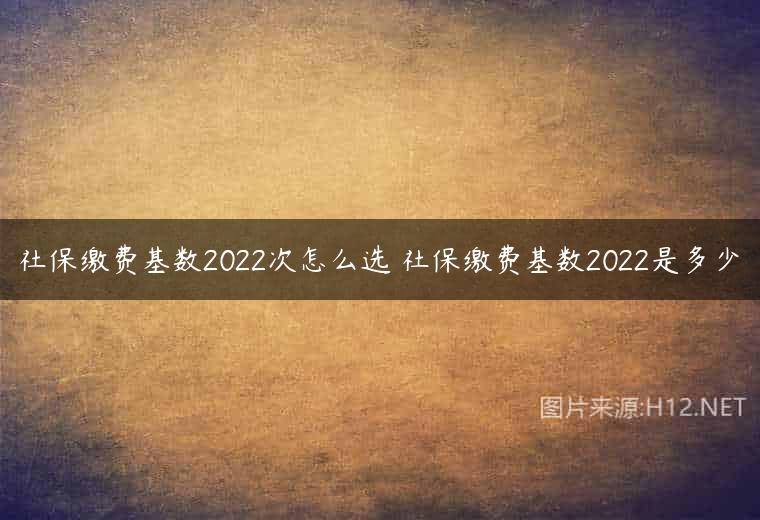 社保缴费基数2022次怎么选 社保缴费基数2022是多少
