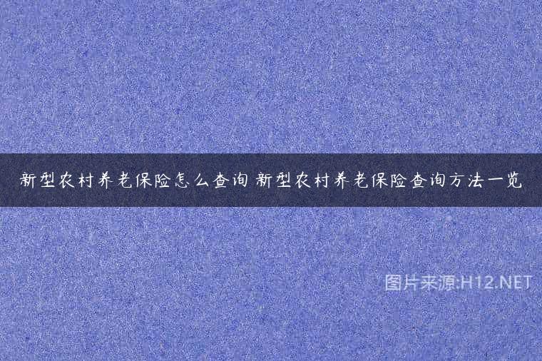 新型农村养老保险怎么查询 新型农村养老保险查询方法一览