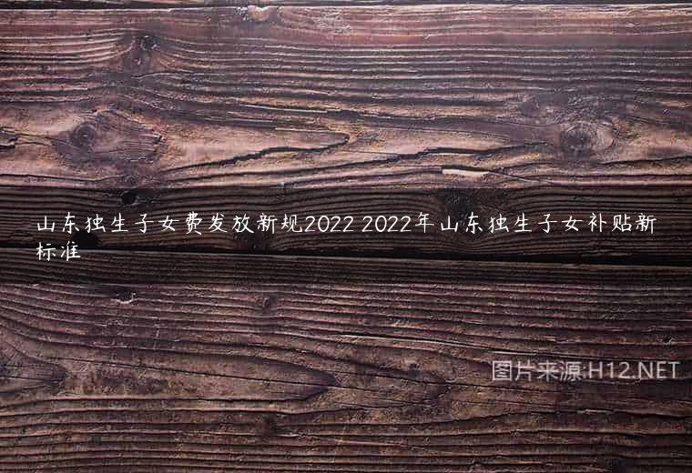 山东独生子女费发放新规2022 2022年山东独生子女补贴新标准
