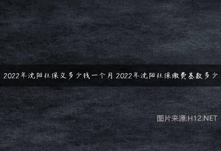 2022年沈阳社保交多少钱一个月 2022年沈阳社保缴费基数多少