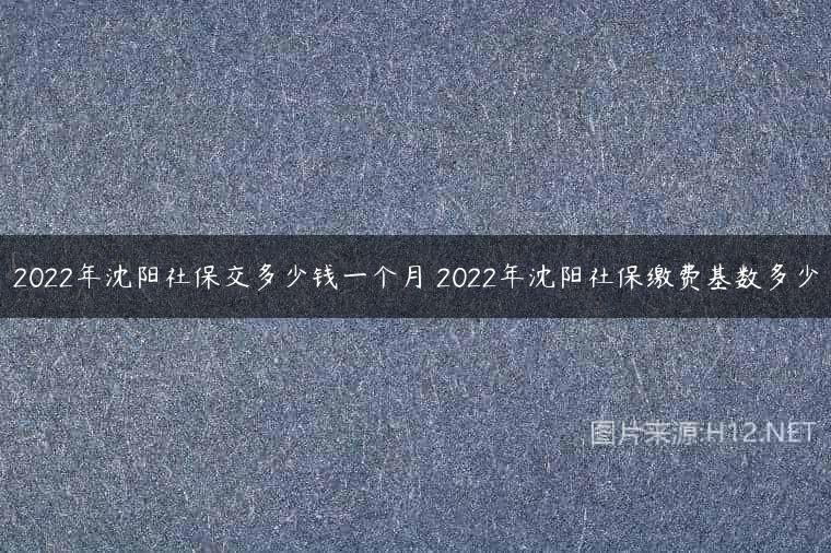 2022年沈阳社保交多少钱一个月 2022年沈阳社保缴费基数多少