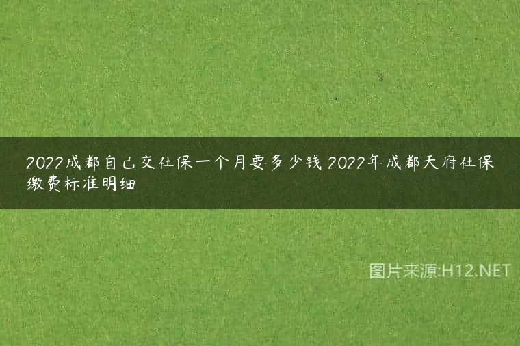 2022成都自己交社保一个月要多少钱 2022年成都天府社保缴费标准明细
