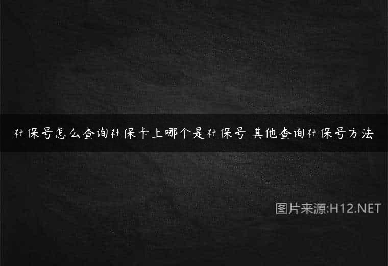 社保号怎么查询社保卡上哪个是社保号 其他查询社保号方法