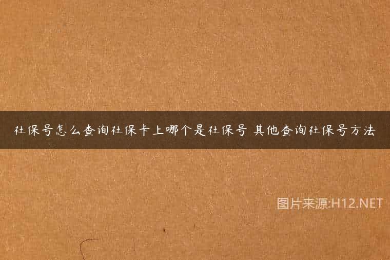 社保号怎么查询社保卡上哪个是社保号 其他查询社保号方法