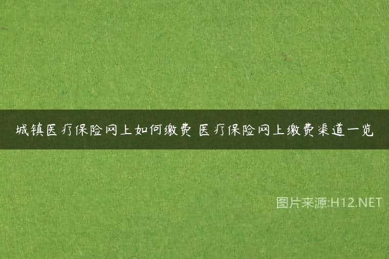 城镇医疗保险网上如何缴费 医疗保险网上缴费渠道一览