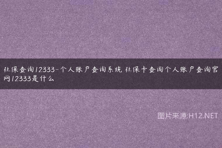 社保查询12333-个人账户查询系统 社保卡查询个人账户查询官网12333是什么