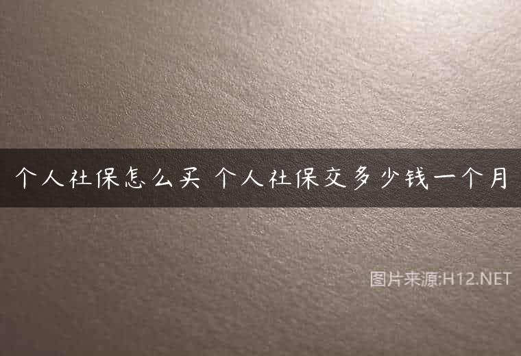 个人社保怎么买 个人社保交多少钱一个月