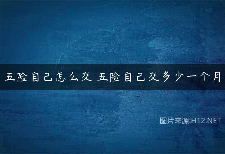 五险自己怎么交 五险自己交多少一个月