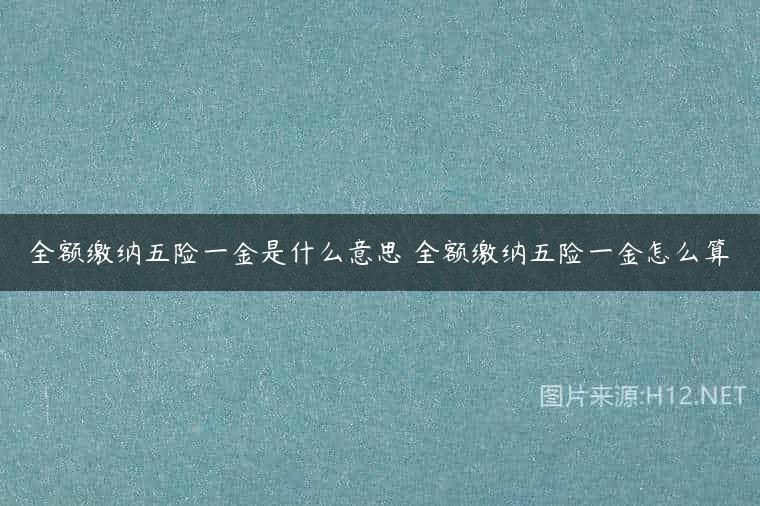 全额缴纳五险一金是什么意思 全额缴纳五险一金怎么算