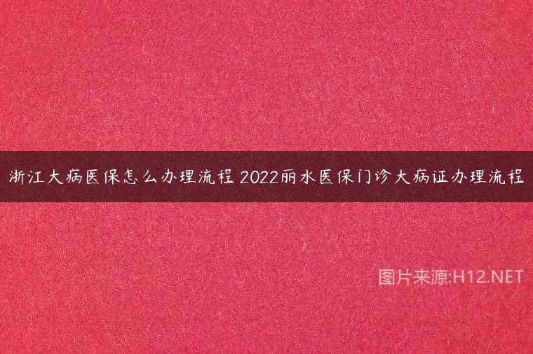 浙江大病医保怎么办理流程 2022丽水医保门诊大病证办理流程