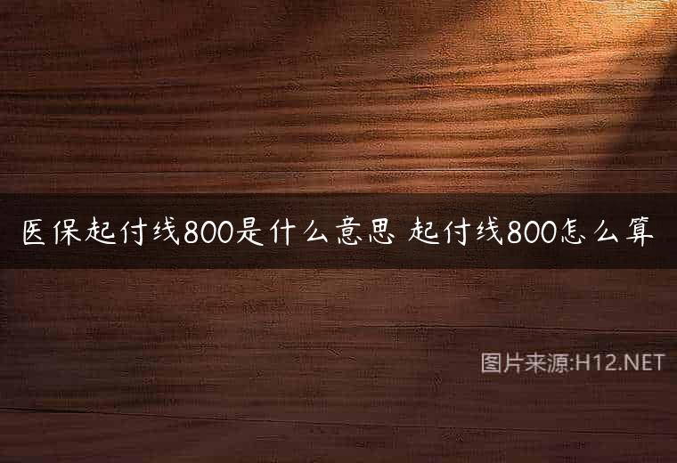 医保起付线800是什么意思 起付线800怎么算
