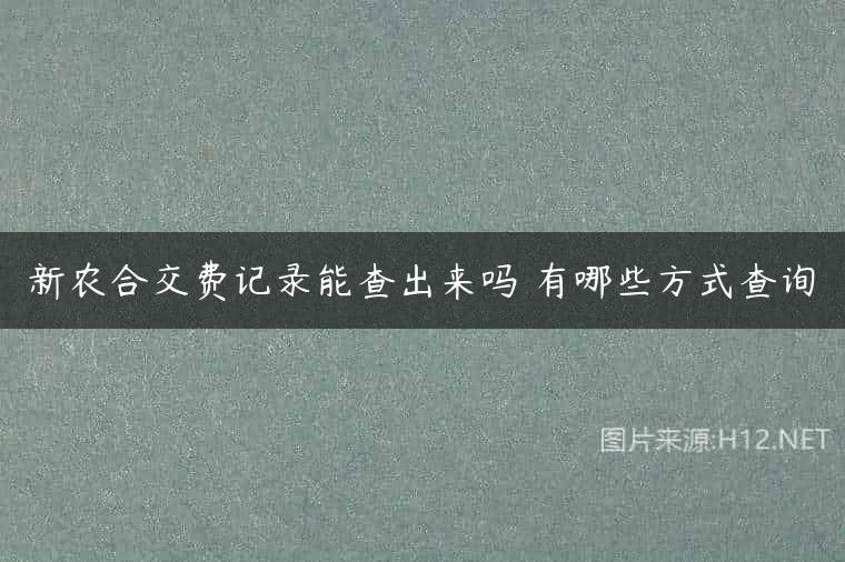 新农合交费记录能查出来吗 有哪些方式查询