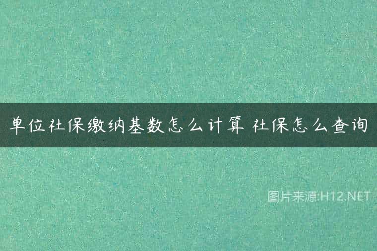 单位社保缴纳基数怎么计算 社保怎么查询
