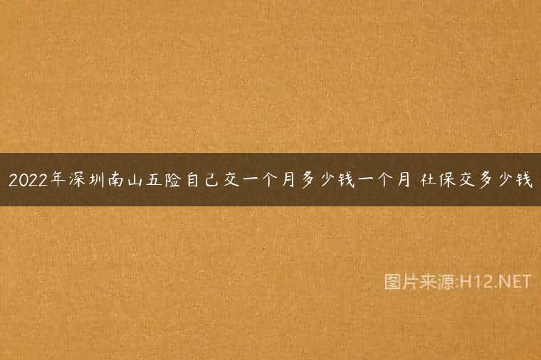 2022年深圳南山五险自己交一个月多少钱一个月 社保交多少钱
