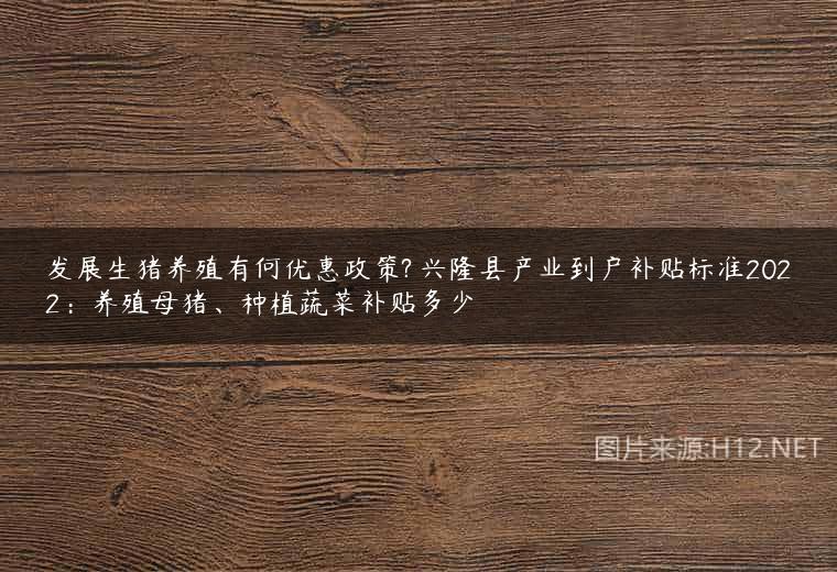 发展生猪养殖有何优惠政策? 兴隆县产业到户补贴标准2022：养殖母猪、种植蔬菜补贴多少
