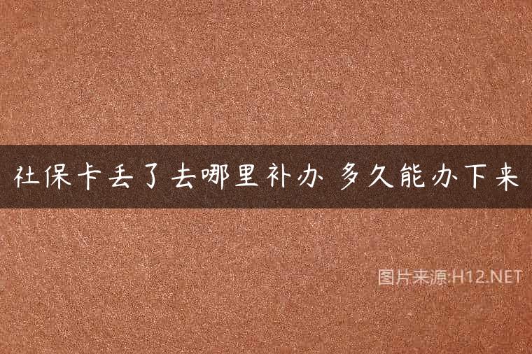 社保卡丢了去哪里补办 多久能办下来