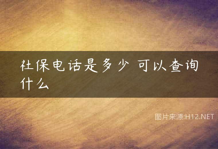 社保电话是多少 可以查询什么