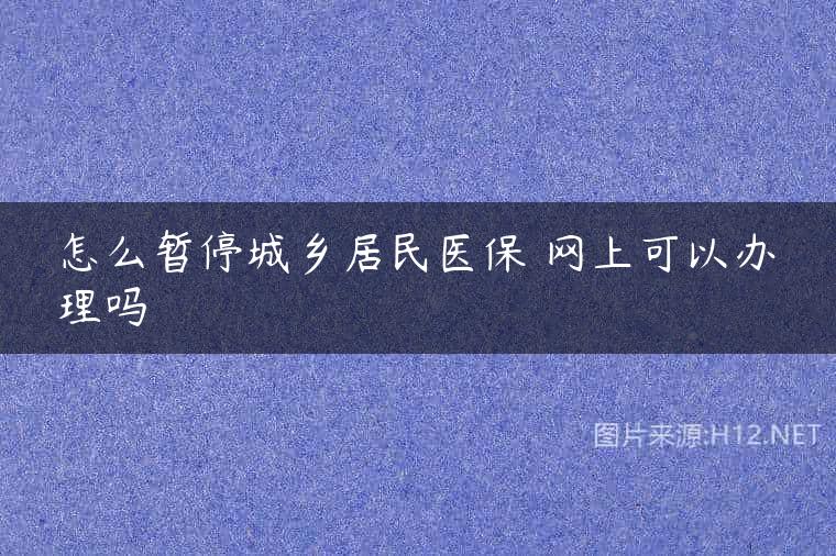 怎么暂停城乡居民医保 网上可以办理吗