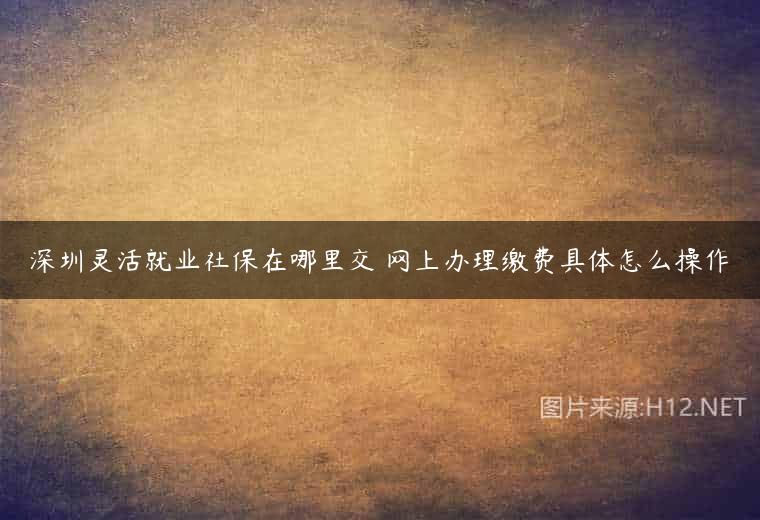 深圳灵活就业社保在哪里交 网上办理缴费具体怎么操作