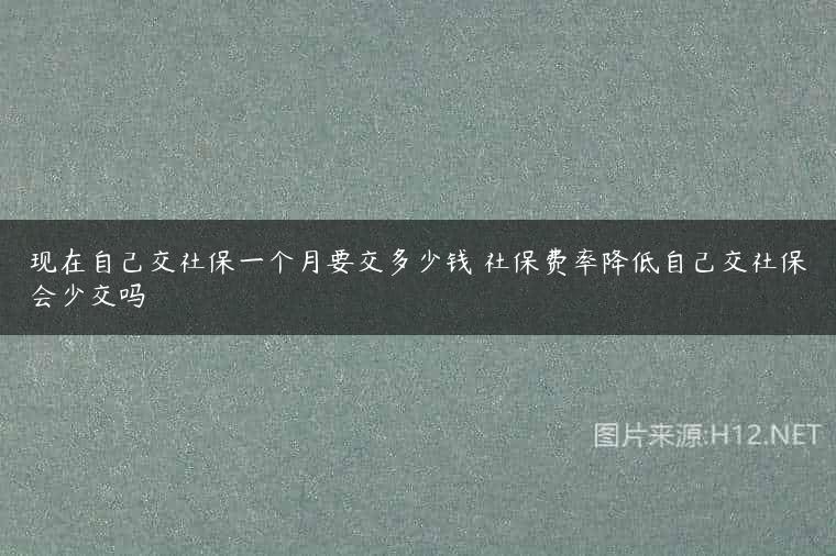 现在自己交社保一个月要交多少钱 社保费率降低自己交社保会少交吗