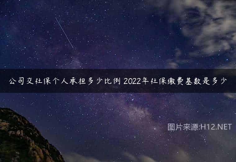 公司交社保个人承担多少比例 2022年社保缴费基数是多少