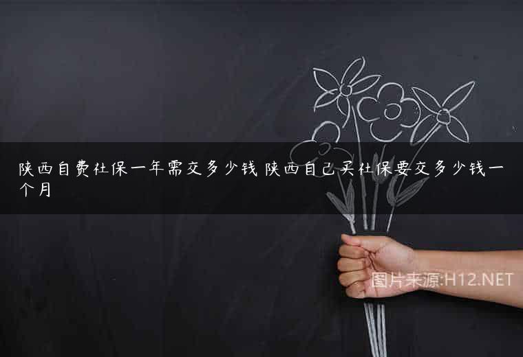 陕西自费社保一年需交多少钱 陕西自己买社保要交多少钱一个月