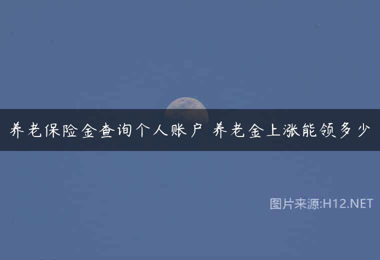 养老保险金查询个人账户 养老金上涨能领多少