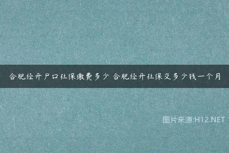 合肥经开户口社保缴费多少 合肥经开社保交多少钱一个月