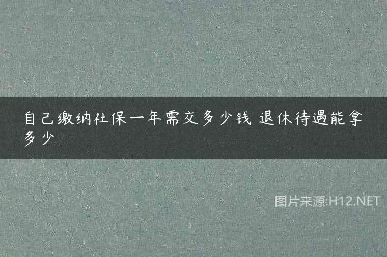 自己缴纳社保一年需交多少钱 退休待遇能拿多少