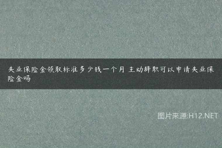 失业保险金领取标准多少钱一个月 主动辞职可以申请失业保险金吗