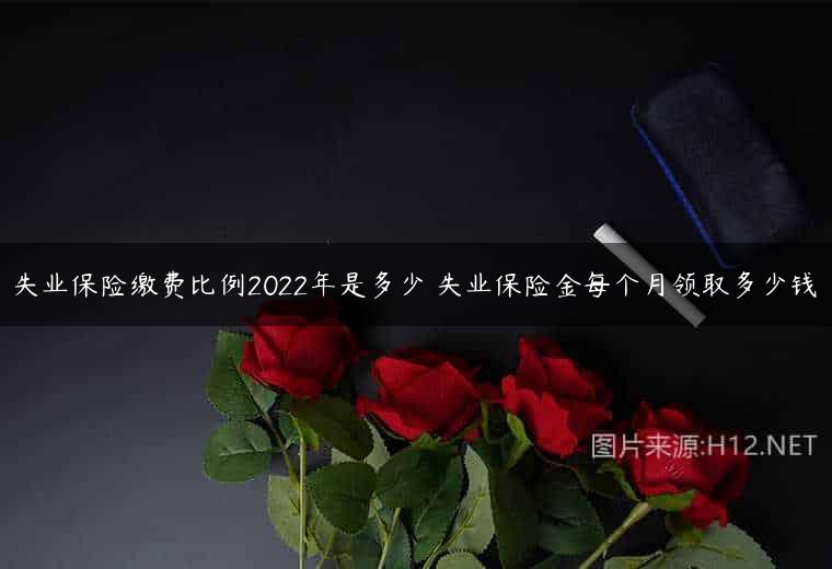失业保险缴费比例2022年是多少 失业保险金每个月领取多少钱