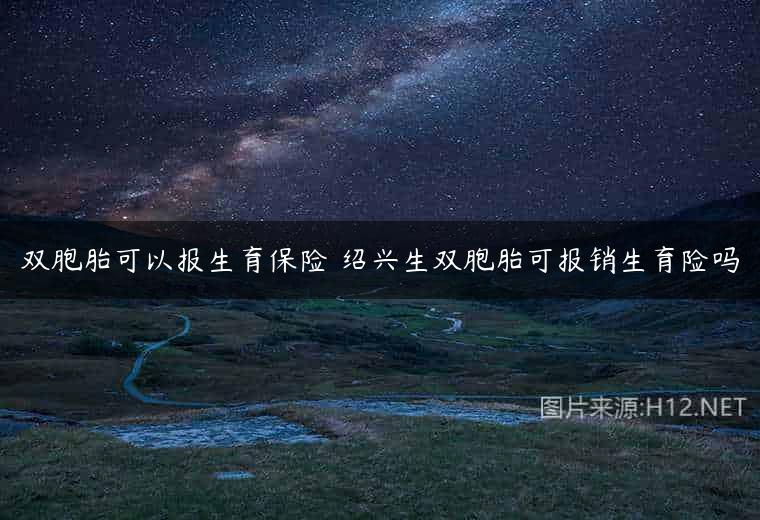 双胞胎可以报生育保险 绍兴生双胞胎可报销生育险吗