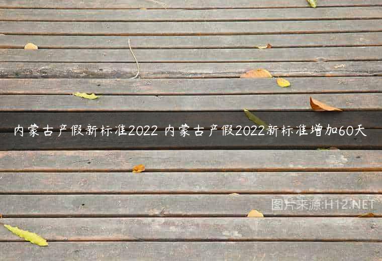 内蒙古产假新标准2022 内蒙古产假2022新标准增加60天